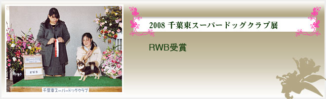 2008 千葉東スーパードッグクラブ展（RWB受賞）